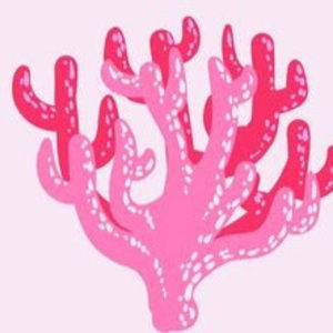 Meet your Posher, Ava